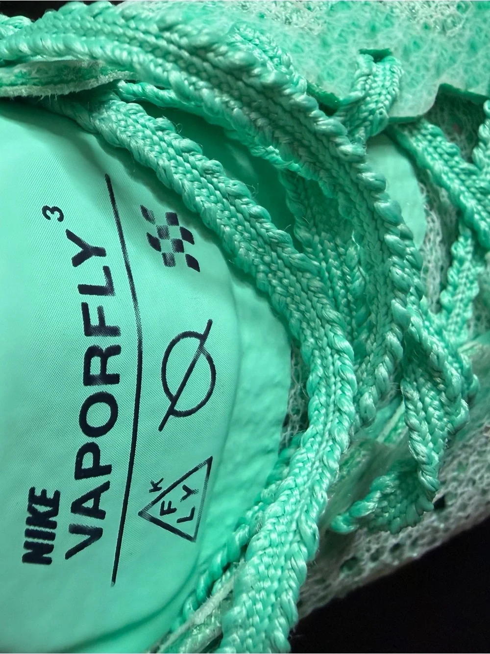 Nike Women's Seafoam Green Knit Running Sneakers